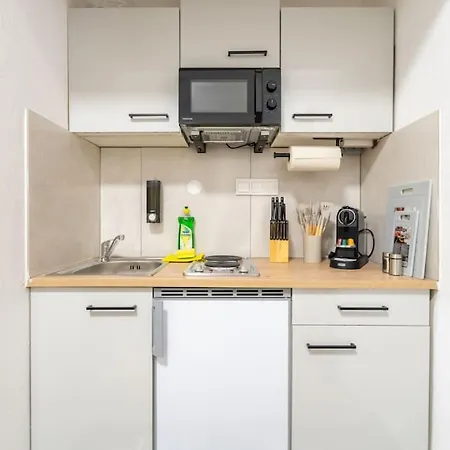 Quiet - 4 Guests - Self Check-in - Netflix - 35m2 * Leoben (Styria)